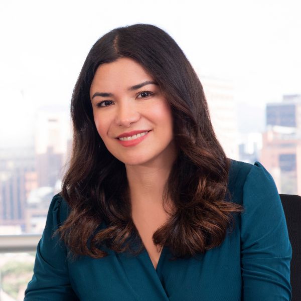 Viviana Araque Mendoza